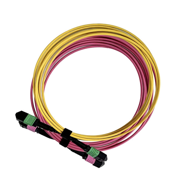 Fiber optic connection to OLT device