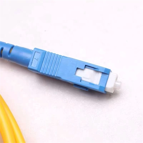 What role and function does the core switch play 