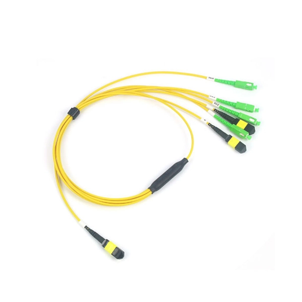 Fiber Optic Router Main and Daughter Units 