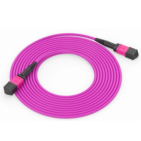 Fiber optic cable ancillary facilities maintenance includes