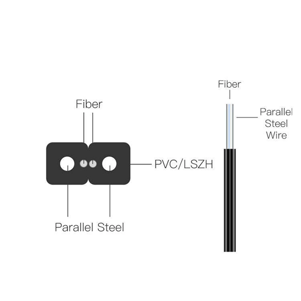 Single-film optical module