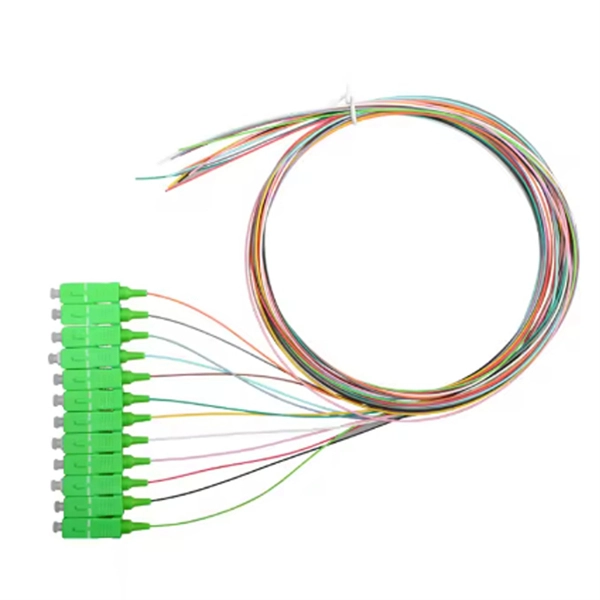 Can a gigabit router be installed on a 200m fiber optic cable 