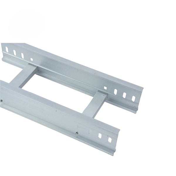 Manufacturer of 1U Cold Aisle Integrated Container Racks