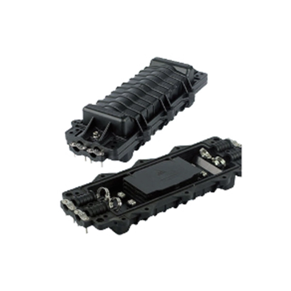What are the main types of access switches 
